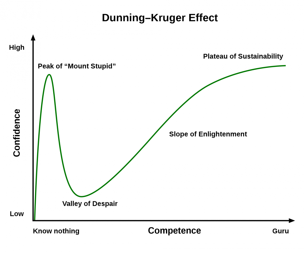 1920px-Dunning–Kruger_Effect_01.svg.png
