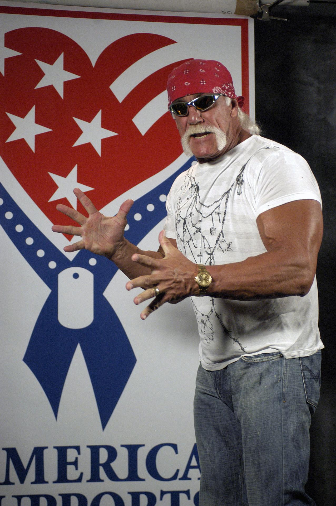 Hulk_Hogan2.jpg.a807ec8b50af17952a0c857afc6c249c.jpg