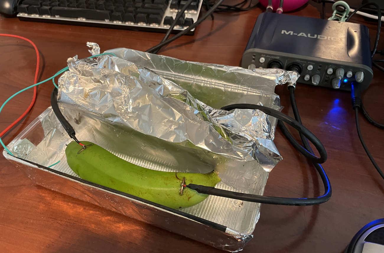 bananawire.jpg.118341b93647467a18287cd6662575ea.jpg