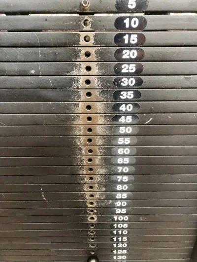 gym_Gauss.jpg.623178179595e19863bf7a9a1532d7ff.jpg